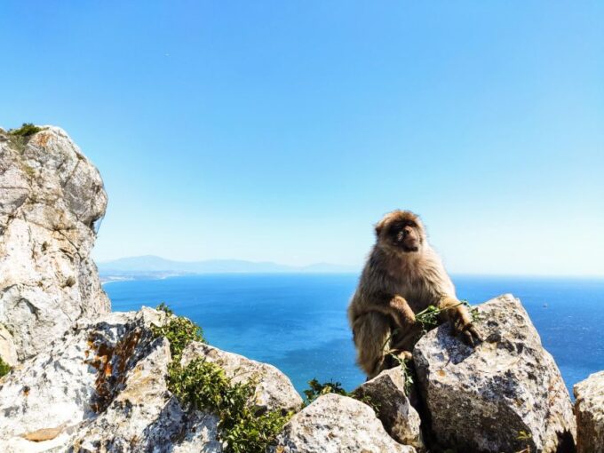 Gibraltar: Premium Private Day Trip & Rock Tour - Detailed Itinerary of the Tour