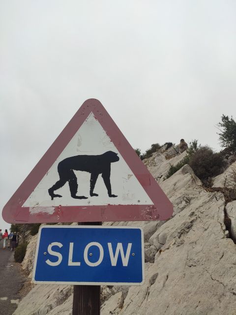 Gibraltar: Premium Private Day Trip & Rock Tour - Booking Information and Availability