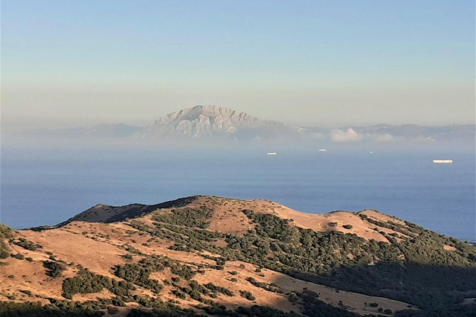 Gibraltar Private Tour From Marbella or Malaga - Customer Feedback
