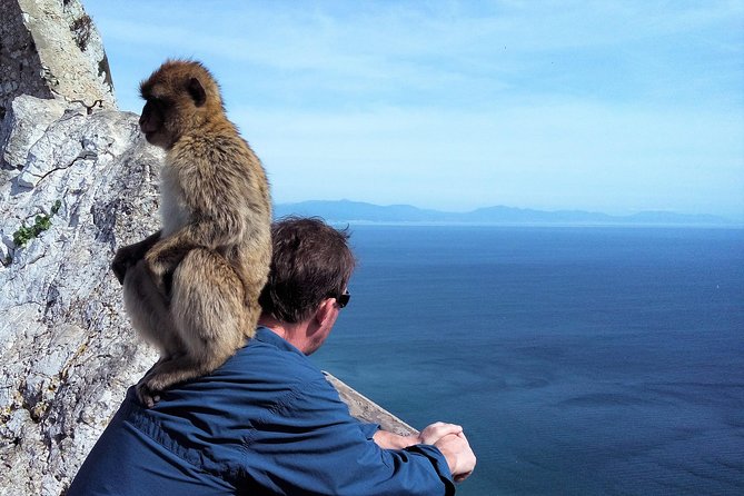 Gibraltar Private Tour From Marbella or Malaga - Monkeys and Nature