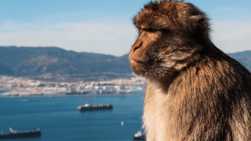 Gibraltar Shopping - Duty-Free Shopping