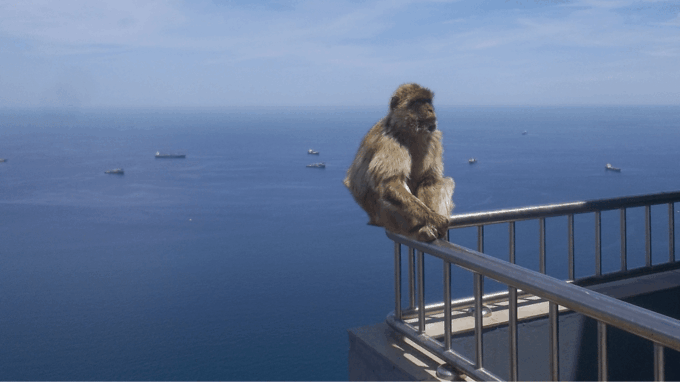 Gibraltar Shopping - Frequently Asked Questions
