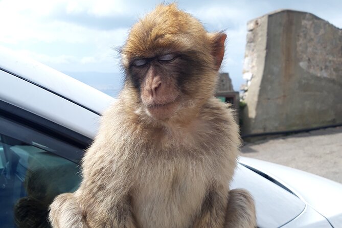 Gibraltar Sightseeing : Classic Shore Excursion (Private) - Pickup and Meeting Details