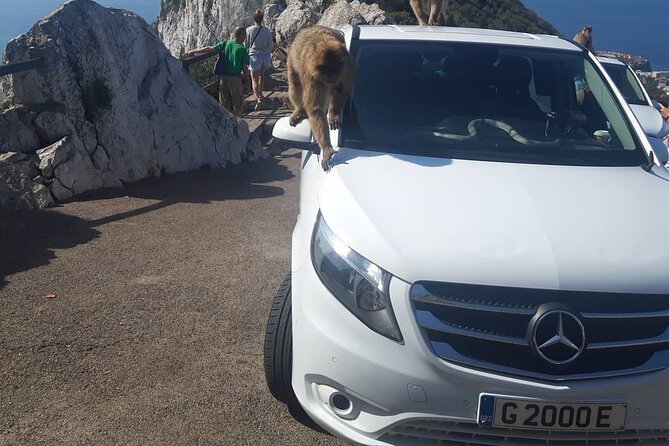 Gibraltar Sightseeing : Classic Shore Excursion (Private) - Traveler Reviews