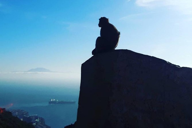 Gibraltar Sightseeing : Extended Rock Tour / Shore Excursion (Private) - Inclusions