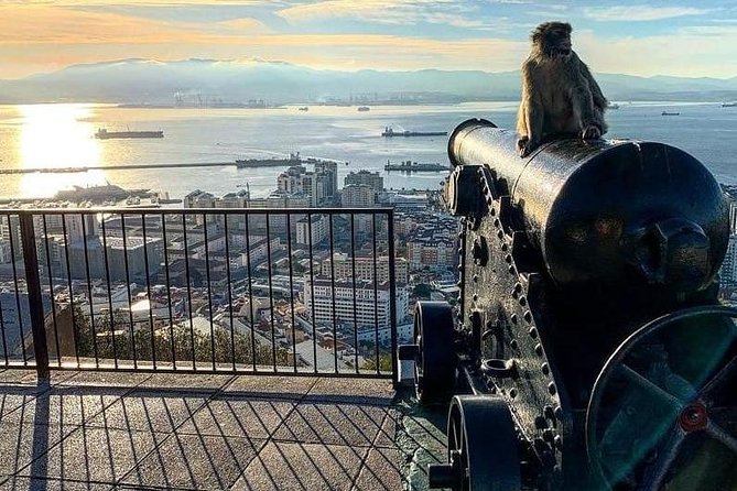 Gibraltar Sightseeing : Extended Rock Tour / Shore Excursion (Private) - Tour Schedule