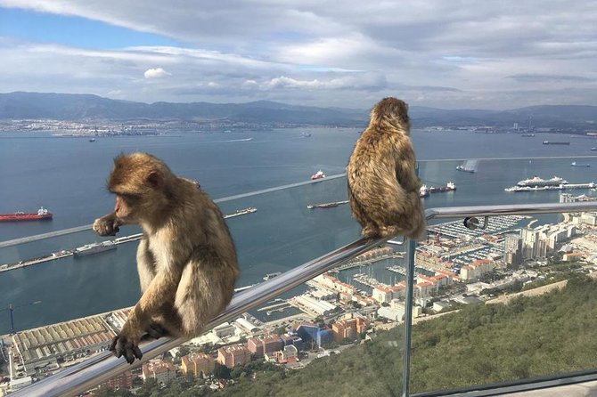 Gibraltar Sightseeing Private Full Day Shore Excursion - Tour Features and Requirements