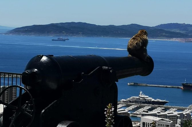 Gibraltar Sightseeing Private Full Day Shore Excursion - Transportation and Accessibility