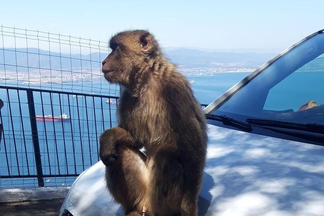 Gibraltar Sightseeing :SKYWALK AND SUSPENSION BRIDGE TOUR (Private) - Pricing and Cancellation Policy