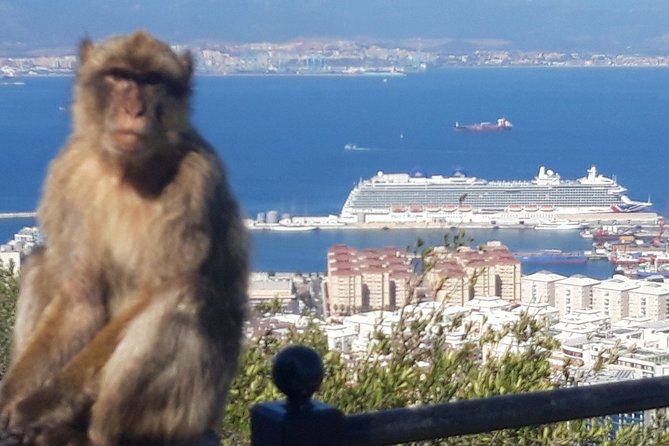 Gibraltar Sightseeing :SKYWALK AND SUSPENSION BRIDGE TOUR (Private) - Gibraltar Frontier Pickup