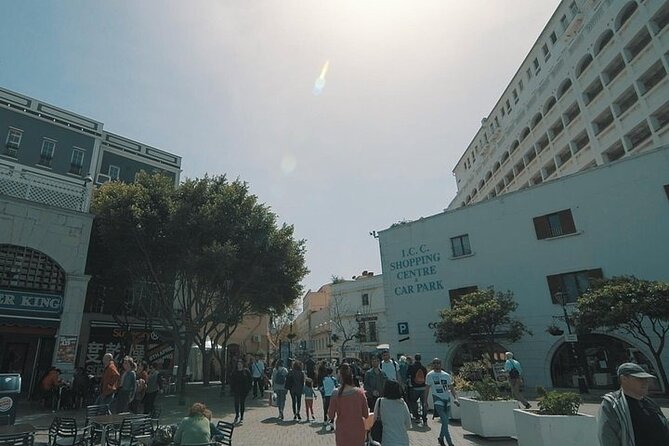 Gibraltar Small Group Tour From Malaga - Traveler Reviews