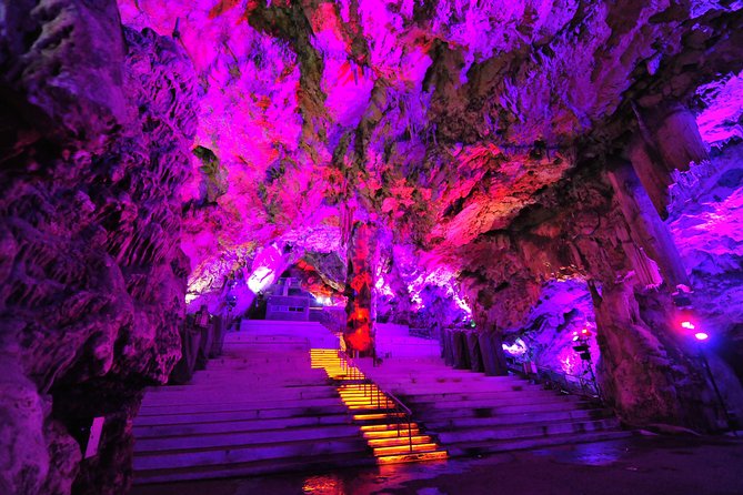 Gibraltar Standard Tour 1.45hrs - Tour Experience and Highlights