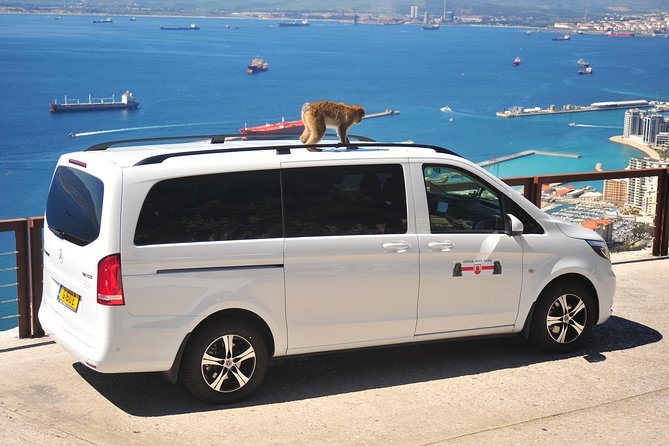 Gibraltar Standard Tour 1.45hrs - Customer Feedback and Reviews
