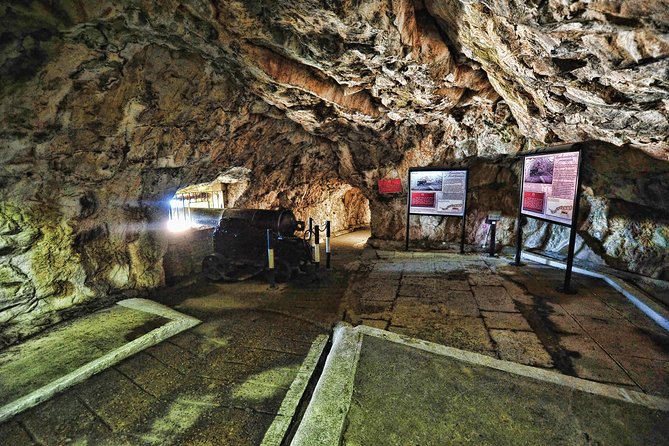 Gibraltar Standard Tour 1.45hrs - Exploring Upper Rock Nature Reserve