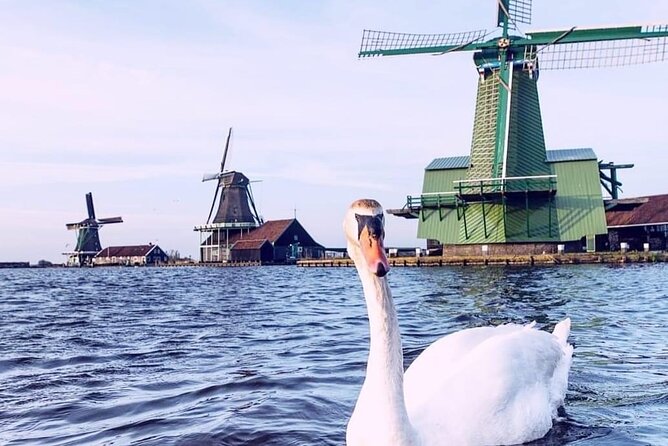 Giethoorn, Private Boat Tour & Zaanse Schans Windmills - Pricing and Availability