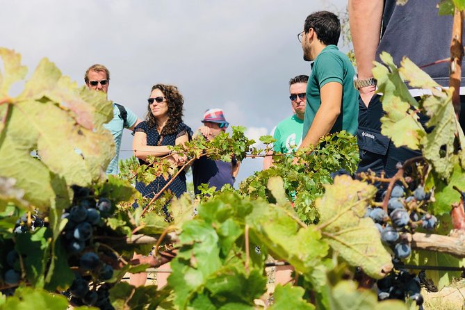 Giethoorn Private Tour From Amsterdam With Guide and Custom Options - Cancellation Policy