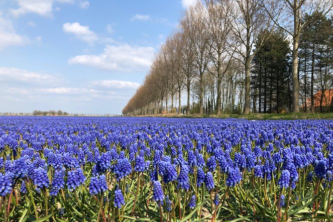 Giethoorn Private Tour From Amsterdam With Guide and Custom Options - Customer Testimonials