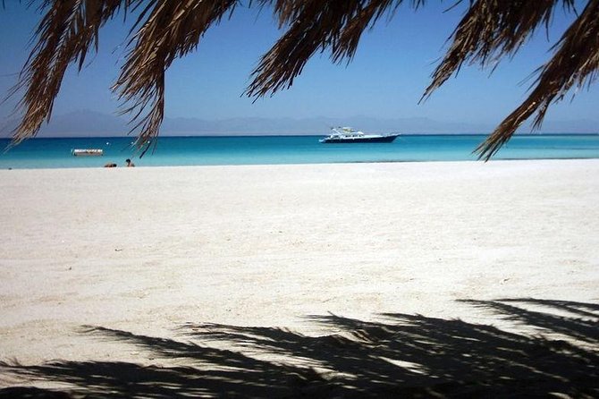 Gifton Island National Park Full Day Snorkeling - Traveler Guidelines