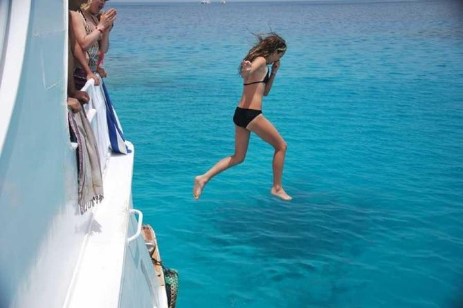 Gifton Island National Park Full Day Snorkeling - Reviews and Experiences