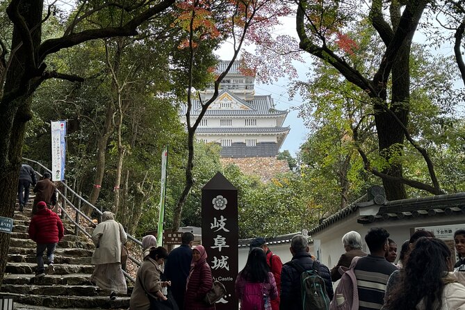 Gifu Half Day Private Tour Castle, Great Buddha and Old Town - Gifu Castle