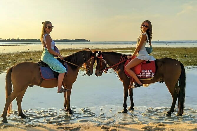 Gili Air 1 Hour Horseback Beach Adventure - Who Will Enjoy This Experience?