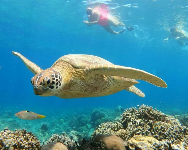 Gili Air : PRAIVATE & SHARING Snorkeling Tour+Gopro Shooting - Key Points