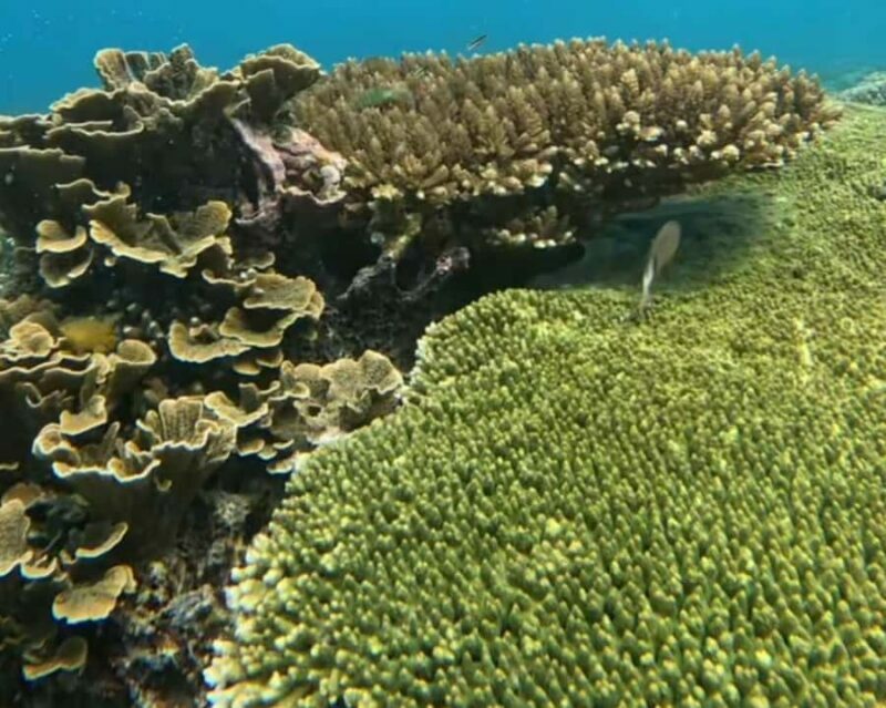 Gili Air : PRAIVATE & SHARING Snorkeling Tour+Gopro Shooting - Return & Reflection