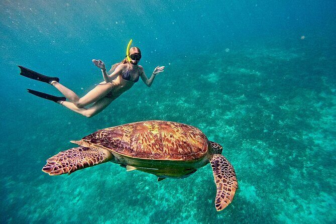 Gili Air : Private Snorkeling with 4 spots - Key Points