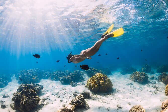 Gili Air : Private Snorkeling with 4 spots - Exploring the Itinerary in Detail