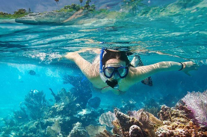 Gili Air : Private Snorkeling with 4 spots - Practical Tips for Your Snorkeling Day