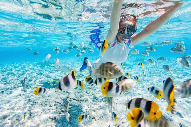 Gili Air : Private Snorkeling with 4 spots - Who Should Consider This Tour?
