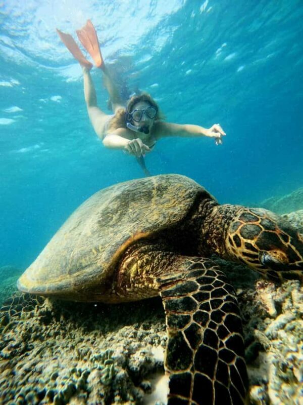 Gili Air Share Snorkeling Tour With GOPRO Documentation - Key Points