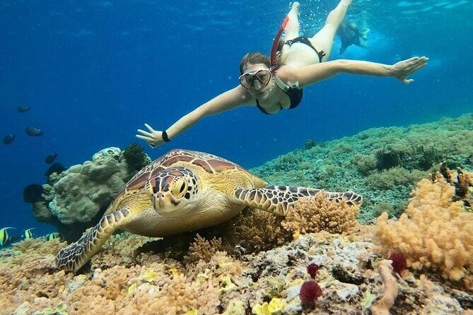 Gili Air: Snorkeling 3 Gili Islands with GoPro Camera - Introduction: An Authentic Gili Snorkeling Experience