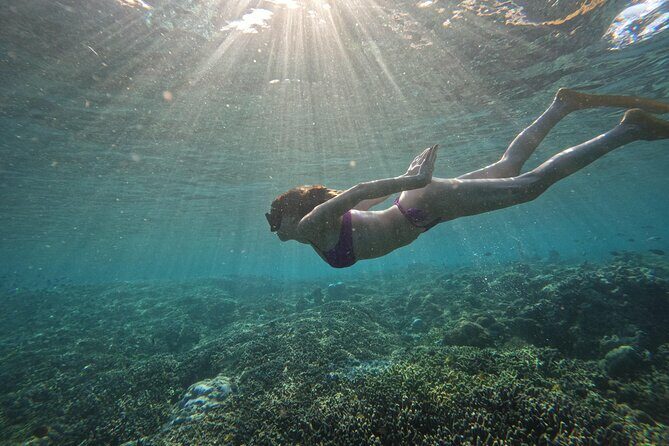 Gili Air: Snorkeling 3 Gili Islands with GoPro Camera - The Sum Up: Who Will Love This Tour?