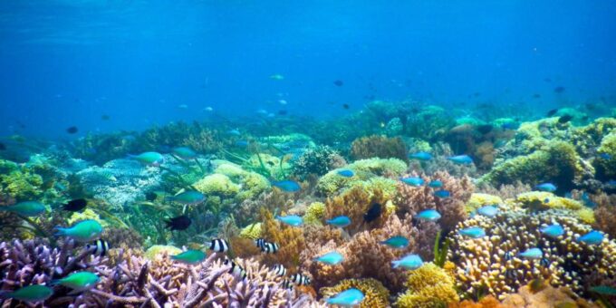 Gili Air/Trawangan: Glass-Bottom Boat Tour With Snorkeling - Inclusions and Exclusions