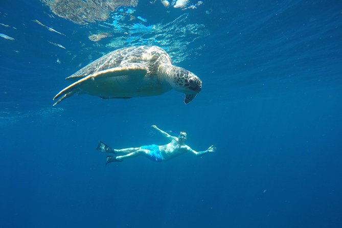 Gili Island Excursions 2D1N From Bali - Itinerary Highlights