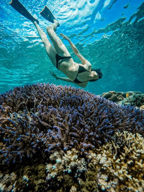 Gili Island: Group or Private Snorkeling Tour - Frequently Asked Questions