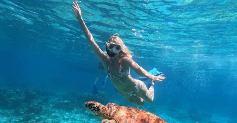 Gili Island Private Snorkeling & Visit Baby Turtles - Itinerary and Activities