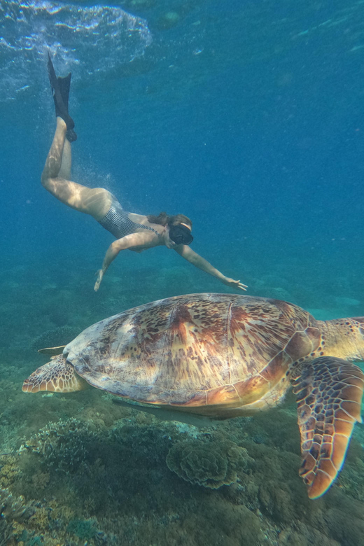 Gili Island Private Snorkeling & Visit Baby Turtles - Frequently Asked Questions