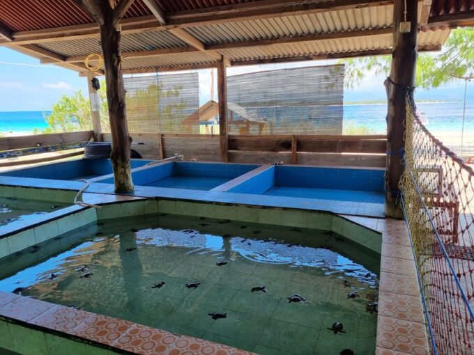 Gili Island Snorkeling: Gili Trawangan, Meno And Air - Frequently Asked Questions