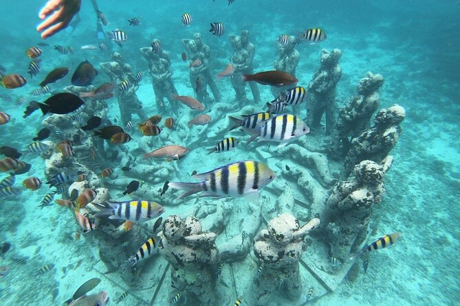 Gili Island Snorkeling Half Day Trip Departure From Gili Trawangan - Key Points