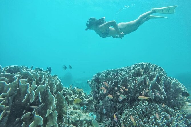 Gili Island Snorkeling Half Day Trip Departure From Gili Trawangan - Meeting Point and Schedule
