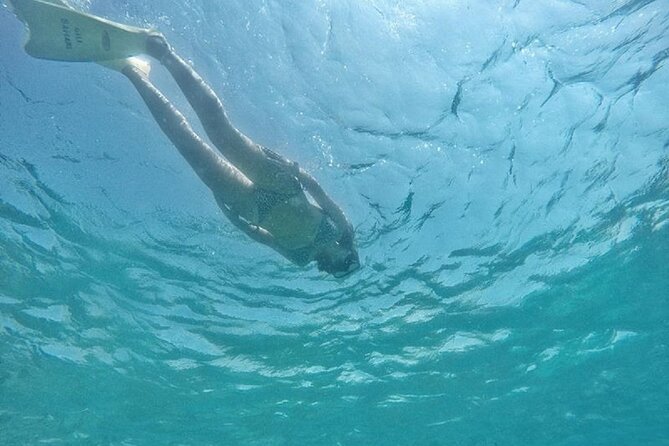 Gili Island Snorkeling Half Day Trip Departure From Gili Trawangan - Customer Feedback and Experiences