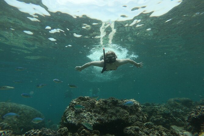 Gili Island Snorkeling Half Day Trip Departure From Gili Trawangan - Additional Information
