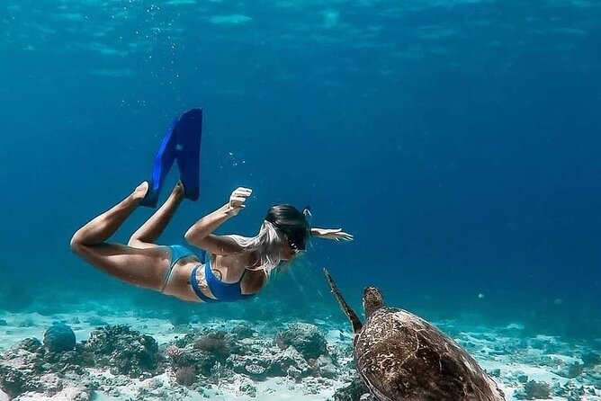 Gili Island Snorkeling Trip - Gili Trawangan, Gili Meno, & Gili Air, From Lombok - Underwater Statues of Gili Meno