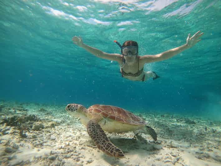 Gili Island: Sunset and Snorkeling Tour + Gopro Photoshoot - Experience Highlights