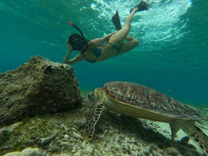 Gili Island: Sunset and Snorkeling Tour + Gopro Photoshoot - Inclusions