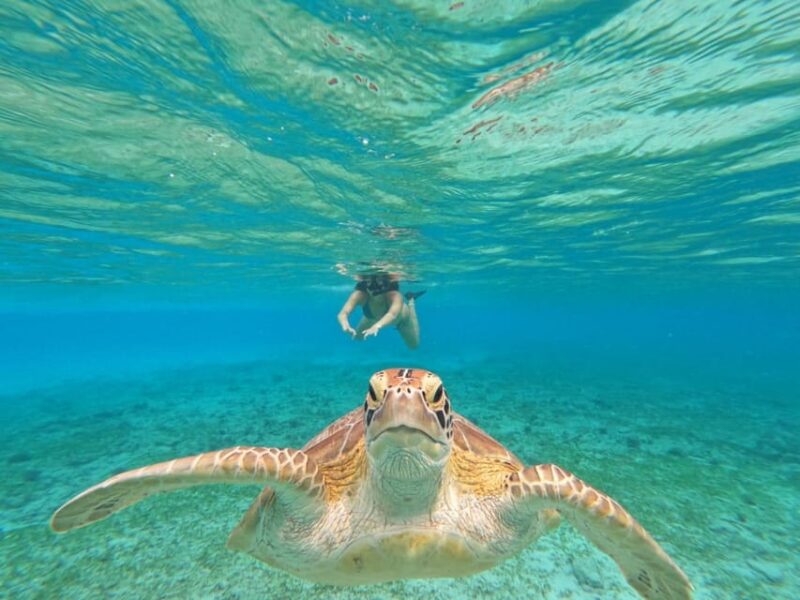 Gili Island: Sunset and Snorkeling Tour + Gopro Photoshoot - Sunset and Snorkeling