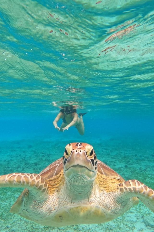 Gili Island: Sunset and Snorkeling Tour + Gopro Photoshoot - Recap