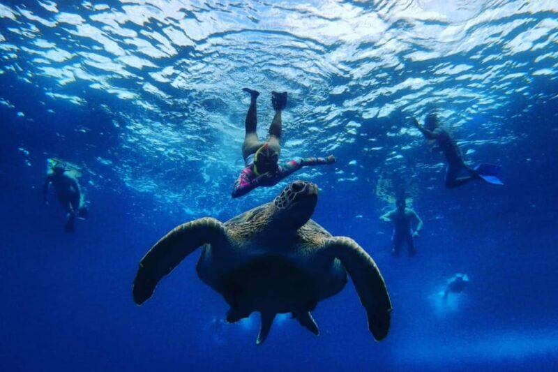 Gili Island Sunset Tour : Group Snorkeling & Sunset Cruise - Important Information